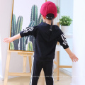 Spring and Autumn Children's Clothing 2pcs 100% Cotton Kids Leisure Sets